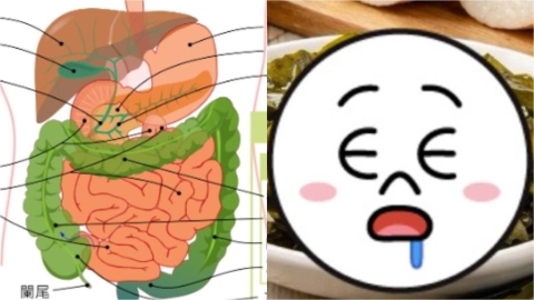 口感濕滑黏膩不敢吃…醫列「1類食物」腸道最愛：穩血糖還抗發炎！