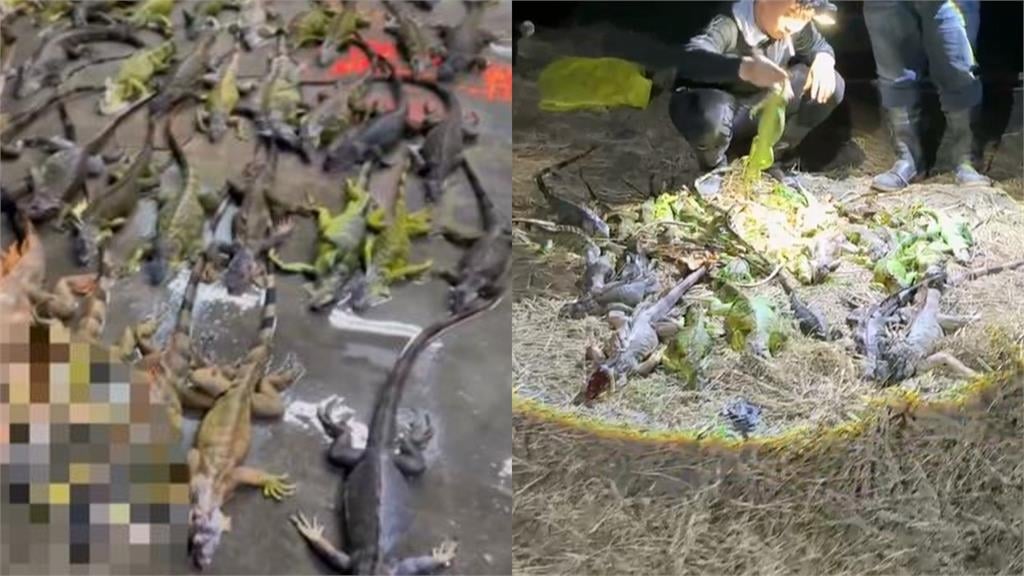 北車事件後自保法暴紅！網瘋傳「高鐵這1物」可拆下當盾牌…官方回應了