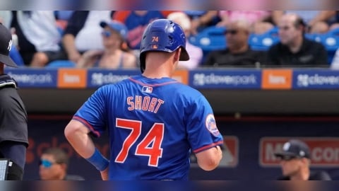 MLB(影)／洋基出手補游擊漏洞！小聯盟合約簽下前大都會內野手當備胎