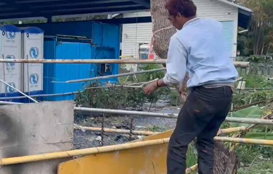 人鳥同路！街頭驚見鴕鳥狂奔　衝進鐵工廠　轎車沿路緊跟