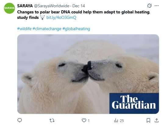 北極熊因海冰消融與環境升溫，被迫調整覓食策略與基因活動。（圖／翻攝自X，@SarayaWorldwide）