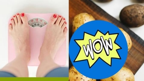 減肥飲控好難總是餓到破功？專家點名5種「抗餓神級食物」