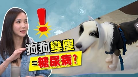 徐千京《醫學大聯盟》曝她的「寶貝」罹患糖尿病！爆瘦如柴掉7公斤