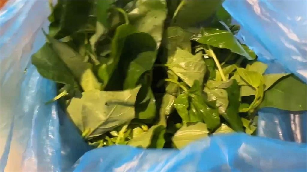 韓星朴寶劍也來朝聖！高雄肉燥飯驚爆食安　「碗裡有蝸牛」民眾連拉３天