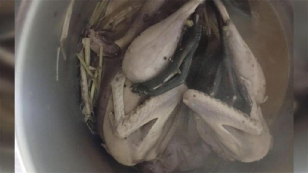 網友炸鍋! 移工"煮野鳥"貼文附黑面琵鷺照片警展開追查