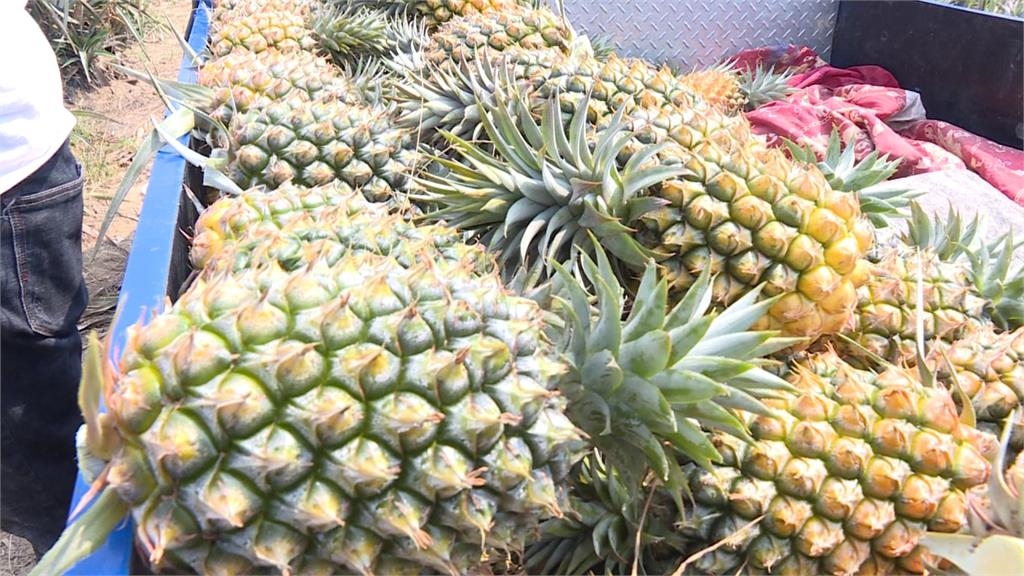 空腹吃助消化水果竟成「胃痛元兇」？營養學博士：換個進食順序效果大不同