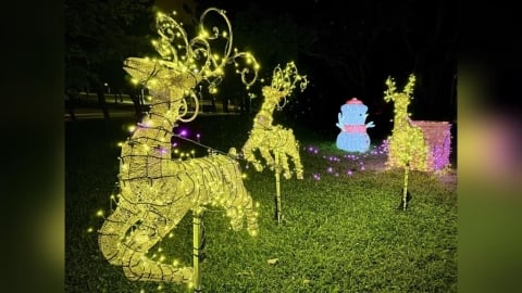 聖誕節必拍！青年公園、大安森林公園應景花卉燈飾夢幻上線