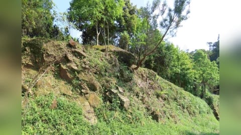 歡慶跨年更要顧安全　新北農業局籲守住山林迎平安新年