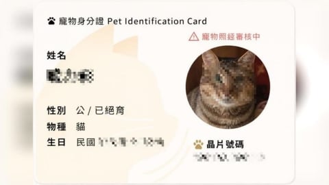 快報戶口！網掀分享寵物身分證熱潮　明年元旦起未登記開罰