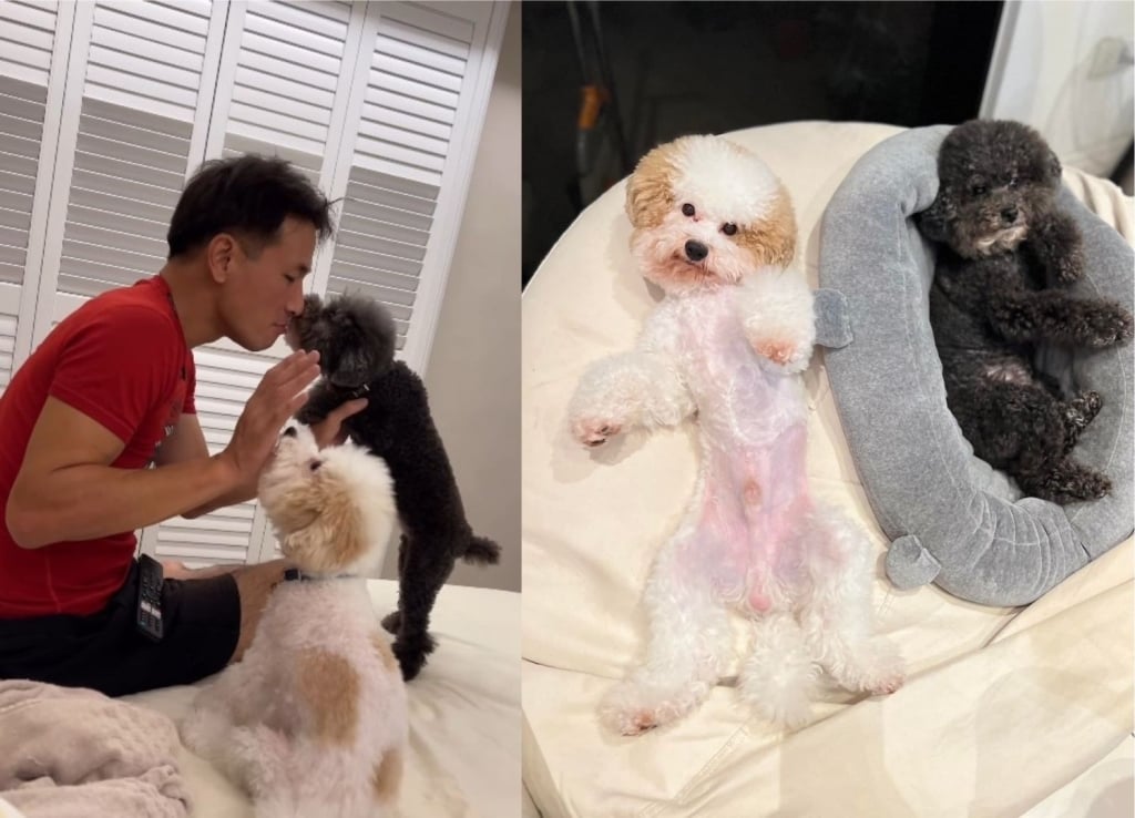 傅子純買新房！演藝圈好友來作客「內裝意外曝光」坦言搬家是為了兩個小孩