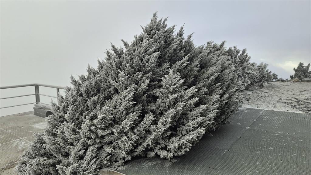 快新聞／玉山下雪了！冷氣團發威「今晨低溫探-5.5度」　銀白畫面曝光