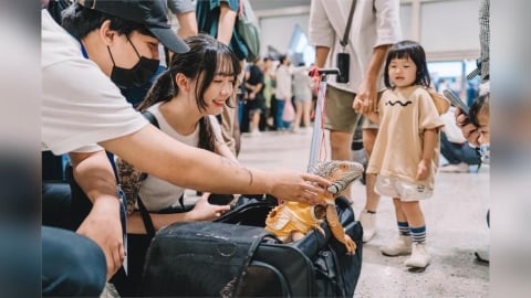 最高補助10萬！高雄挺青年出海 參展補助次數與條件再放寬