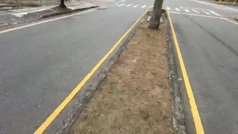 清潔員自備紙屑拍完照再夾起　整個過程被民眾拍下