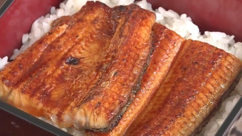 大豐收！今年國產鰻魚價格很親民 漁業署.雲林縣府赴新竹強力推廣