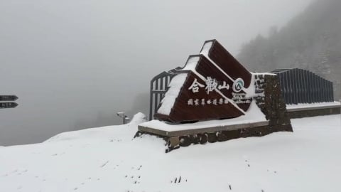 下雪了！合歡山今晨全面白頭　車輛上山請裝備雪鍊