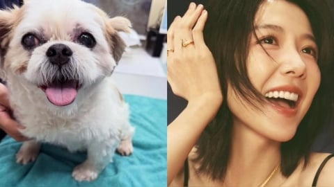 邵雨薇回老家卻遇強震！緊急避難卻遇愛犬突發狀況直言「很混亂」