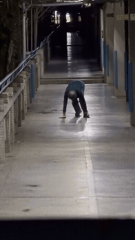 國小走廊驚見阿北「四肢著地」爬行！「16秒詭異畫面」網嚇瘋…專家解答了