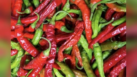 天冷吃辣減重正夯   小心越吃越胖？醫揭「3大關鍵」