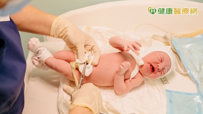 由事後理賠轉向事前準備！保險合作臍帶血公庫　協助保戶掌握1健康資訊