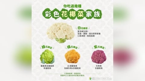 彩色花椰菜夯什麼？一次看懂營養與料理重點