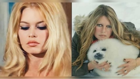 法國傳奇「性感小野貓」碧姬芭杜驚傳逝世　享耆壽91歲