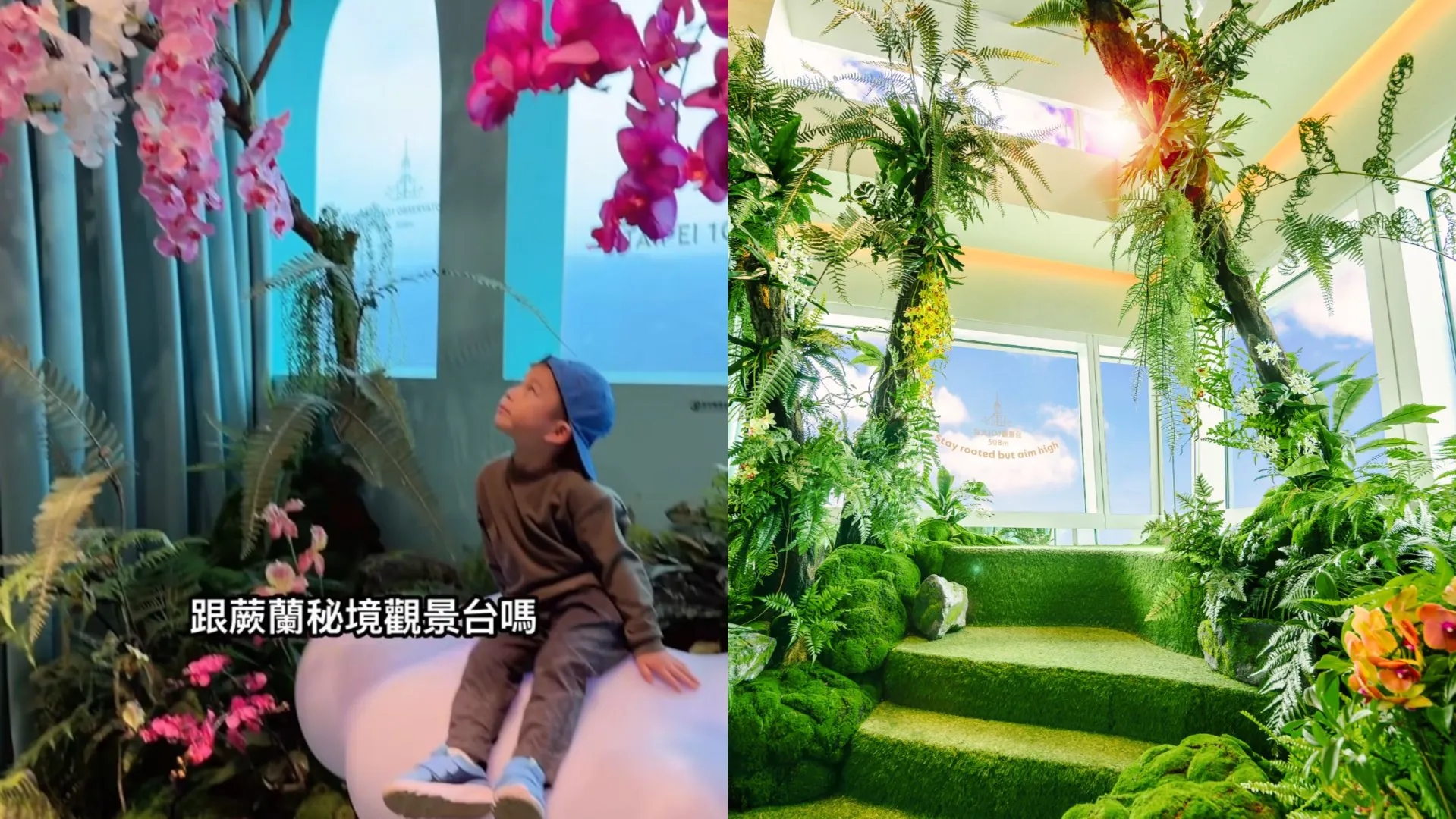  過年寒假親子國旅去哪玩？台北最夯必訪景點TOP 5　網紅激推台北101「登高體驗」 