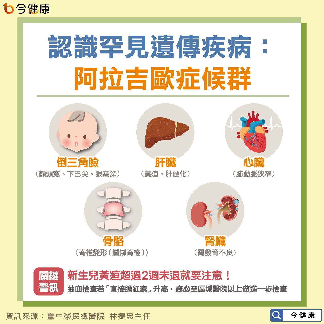 #洪素卿 #阿拉吉歐症候群 #阿拉吉歐 #黃疸