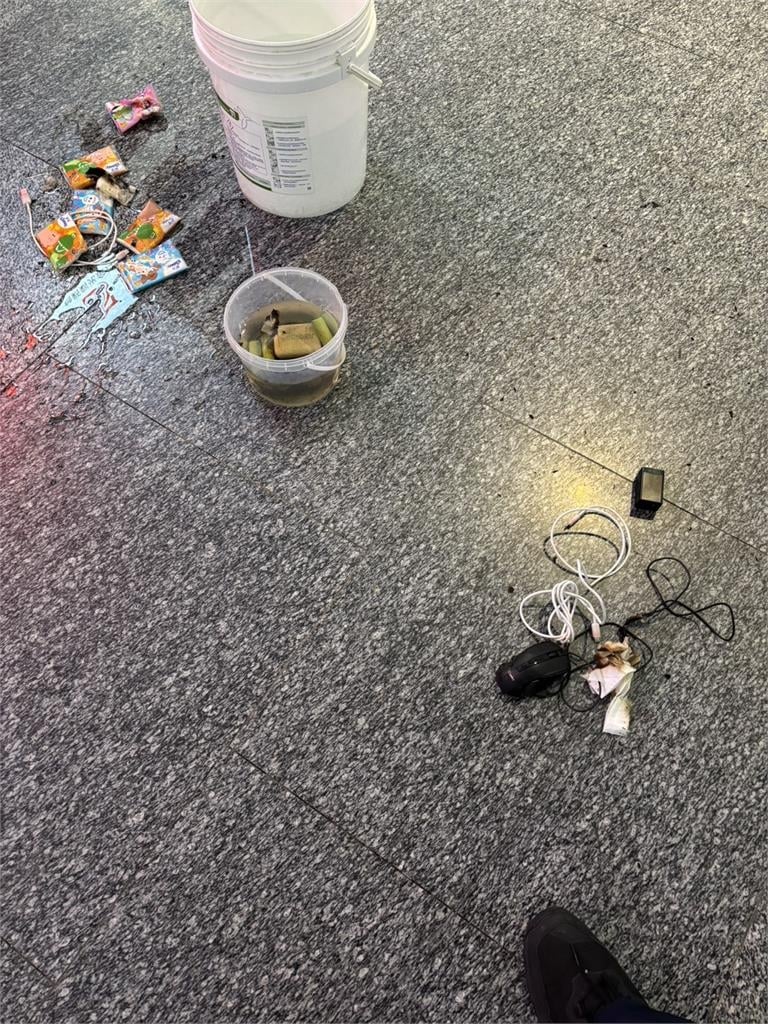 又是行動電源自燃！桃機一航驚傳旅客背包「冒煙起火」　