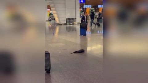 又是行動電源自燃！桃機一航驚傳旅客背包「冒煙起火」