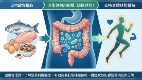 不只是增加攝取量！健康管理師：了解營養利用觀念，有助完善日常補給策略