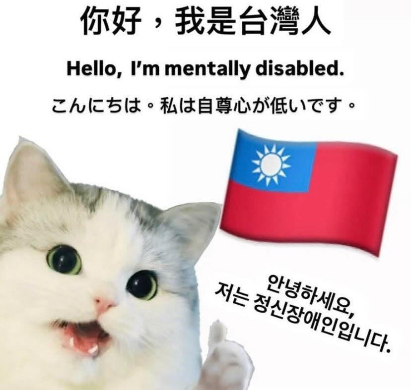 「您好，我台灣人」迷因圖太多！疑引「外國人反感」台網友嘆：存在感刷過頭