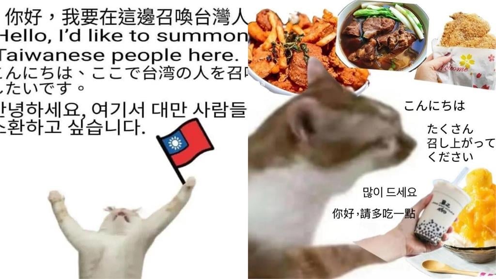 「您好，我台灣人」迷因圖太多！疑引「外國人反感」台網友嘆：存在感刷過頭