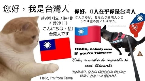 「您好，我台灣人」迷因圖太多！疑引「外國人反感」台網友嘆：存在感刷過頭