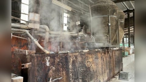 台中31處廚餘養豬場稽查全合格　環保局：若未落實最高罰300萬