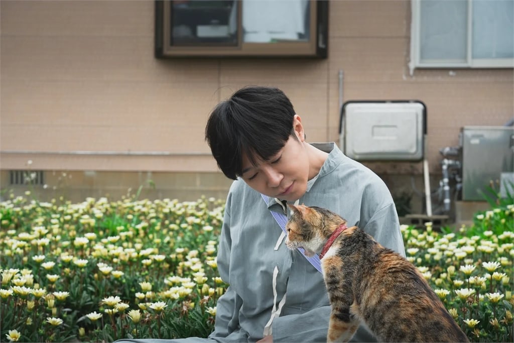 青峰中國開唱「遭主辦威脅」嚇到不敢給資料!怒列5大罪狀:寫進死亡筆記本