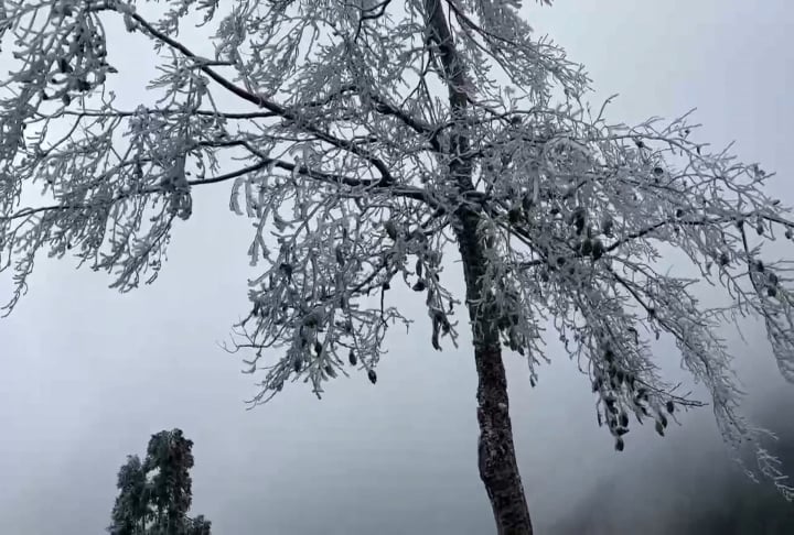 冷氣團稍減弱雨少轉乾冷　輻射冷卻影響日夜溫差大