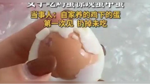 剝開雞蛋驚現「蛋中蛋」奇景！她嚇壞丟掉不敢吃　專家說話了