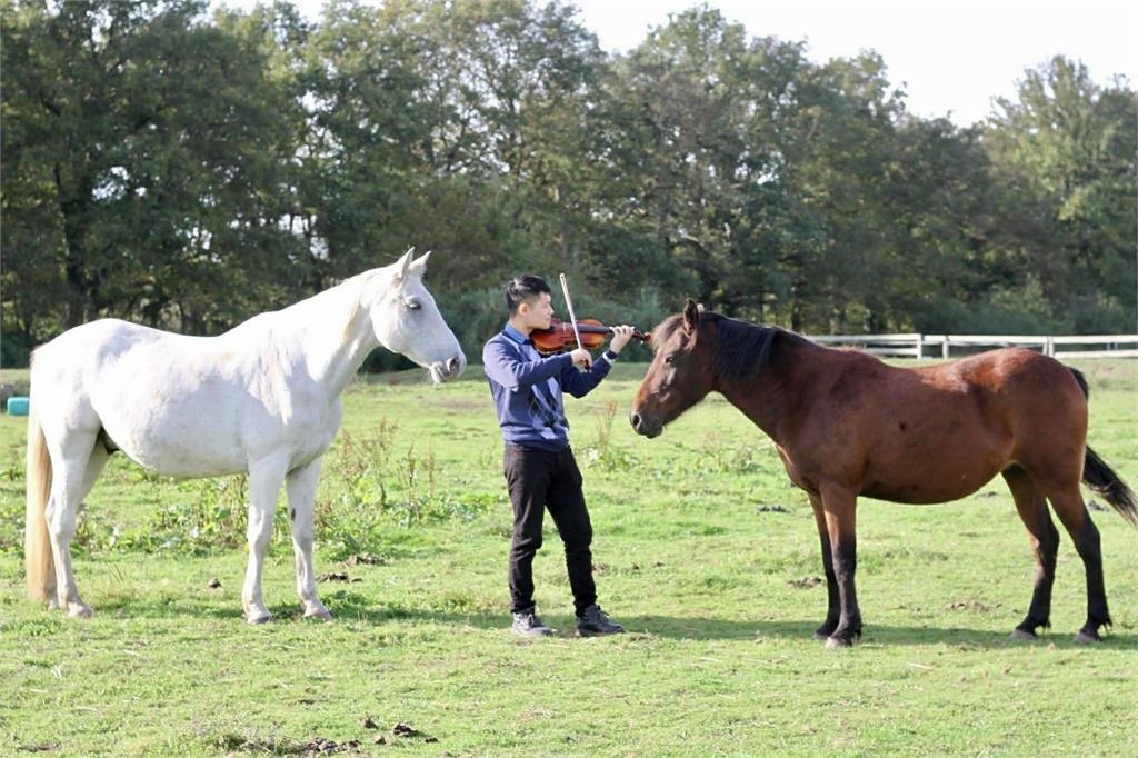 馬術(影)／從音符中蛻變的專業獸醫！台灣隊「核心人物」李曜年成選手最堅強後盾