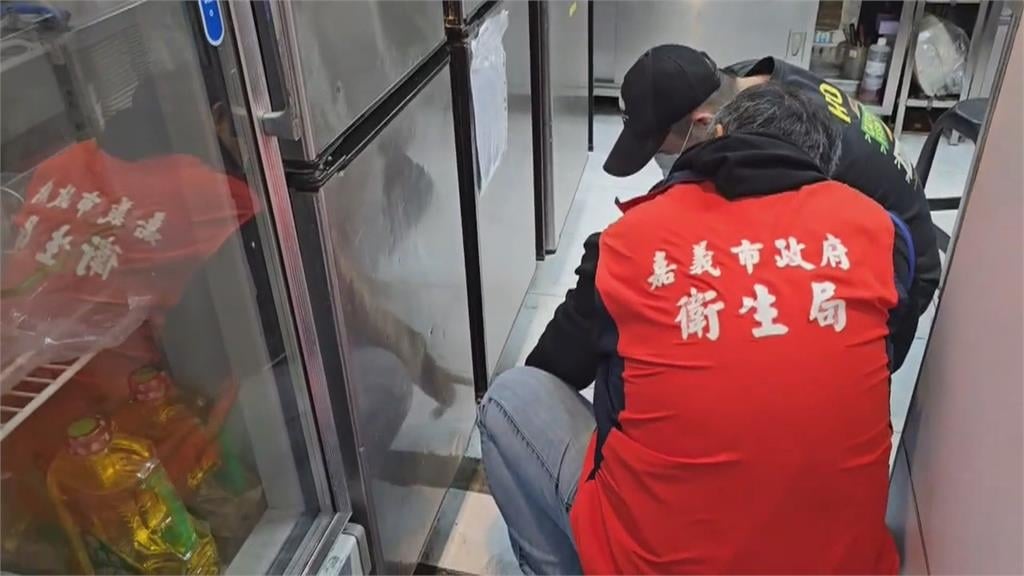 嘉義一連鎖鍋貼店「鼠輩橫行」 稽查出多項衛生缺失
