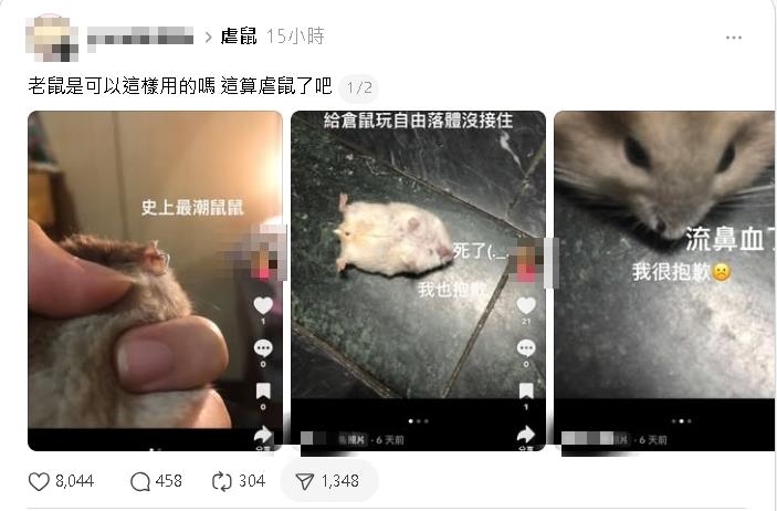 她殘忍「虐倉鼠」竟拍抖音記錄!「釘書機穿耳洞+自由落體墜地亡」惡劣行徑全曝光