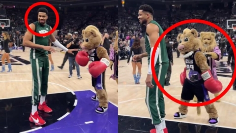 NBA(影)／下次別皮了！字母哥踢館國王「吉祥物戴拳擊手套挑釁」結果遭爆砍37分