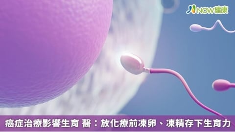 癌症治療影響生育 醫:放化療前凍卵、凍精存下生育力