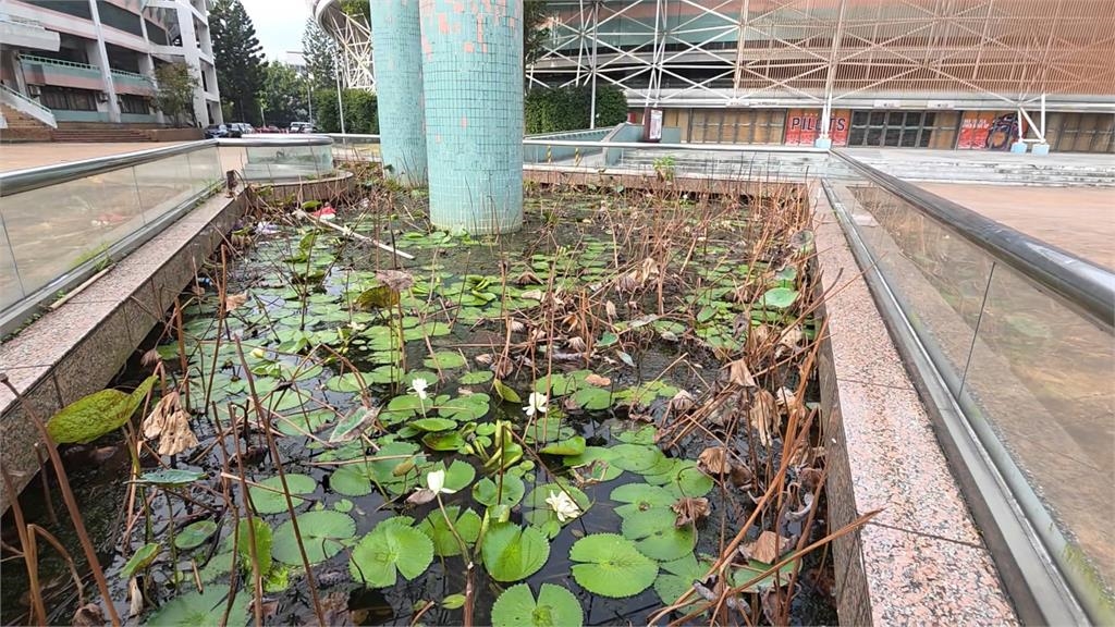 球星林書緯吐槽桃園小巨蛋「髒髒的」　市府：進行改善工程