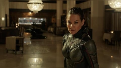 漫威「黃蜂女」伊凡潔琳莉莉驚傳噩耗 因跌倒撞岩石導致腦損傷