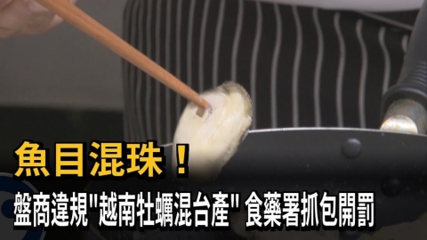 魚目混珠! 盤商拿"越南牡蠣混台產牡蠣"被抓包開罰