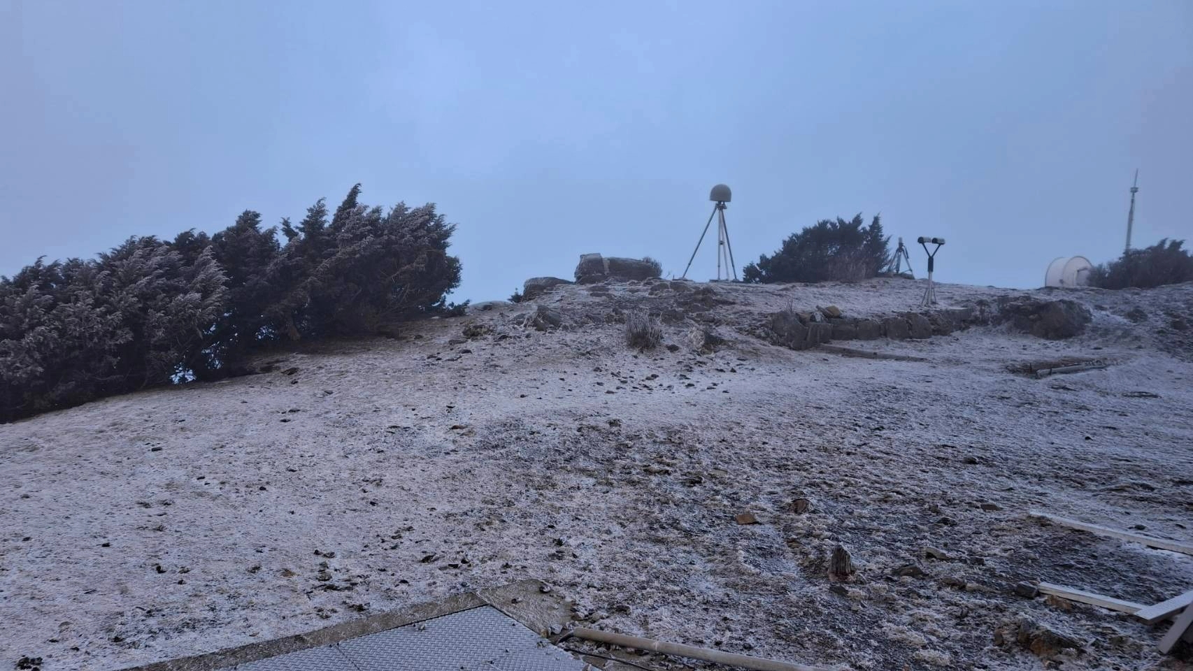 中央氣象署表示,阿里山今晨出現2018年以來首度降雪,玉山深夜則因固態降水形成霧淞景觀。(中央氣象署提供)