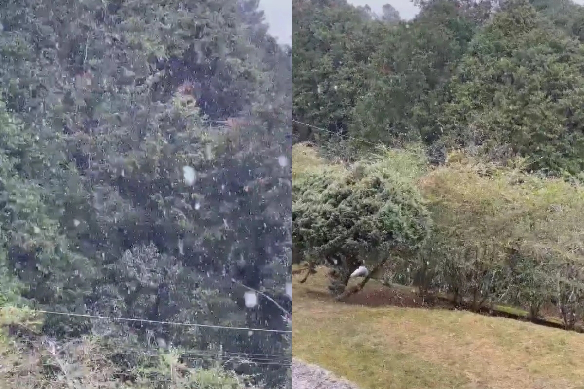 中央氣象署指出,阿里山清晨飄雪,為2018年後再度降雪,玉山夜間則出現霧淞景象。(中央氣象署提供)