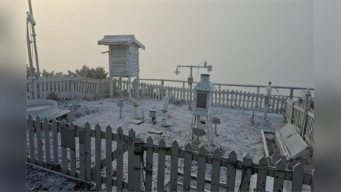 冷氣團發威阿里山睽違8年下雪 玉山現霧淞奇景