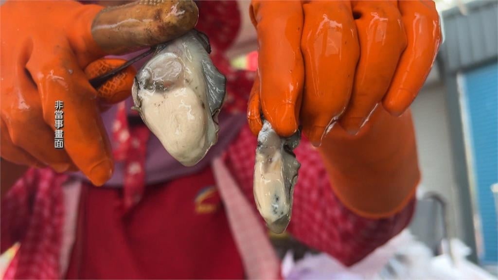 繼高雄後!台中水產店業者越南牡蠣假冒台灣蚵 業者辯稱不知情