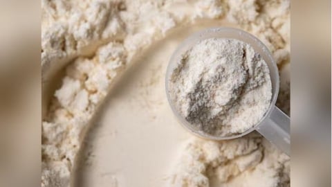 蛋白質強化進入精準時代：為何「用哪一種蛋白」比「加多少」更重要？